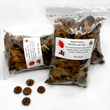 Red Oak Isopod Leaf Litter